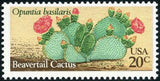 United States of America 1981 Desert Plants - Cacti and Agave-Stamps-United States of America-Mint-StampPhenom