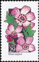 United States of America 1992 Wildflowers-Stamps-United States of America-Mint-StampPhenom