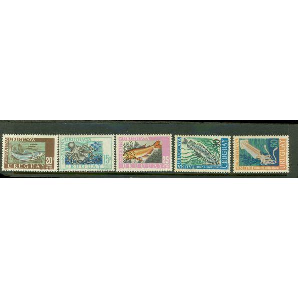 Uruguay Fishes , 5 stamps - Uruguay Fishes , 5 stamps