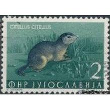 Yugoslavia 1954 Animals-Stamps-Yugoslavia-StampPhenom