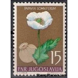 Yugoslavia 1955 Medicinal Plants-Stamps-Yugoslavia-StampPhenom