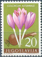 Yugoslavia 1957 Medicinal Plants-Stamps-Yugoslavia-StampPhenom