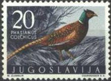 Yugoslavia 1958 Game Birds-Stamps-Yugoslavia-StampPhenom