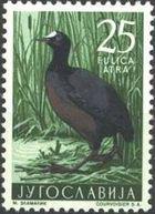 Yugoslavia 1958 Game Birds-Stamps-Yugoslavia-StampPhenom