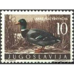 Yugoslavia 1958 Game Birds-Stamps-Yugoslavia-StampPhenom