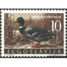 Yugoslavia 1958 Game Birds-Stamps-Yugoslavia-StampPhenom