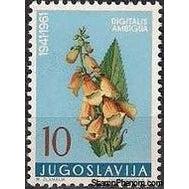 Yugoslavia 1961 Medicinal Plants-Stamps-Yugoslavia-StampPhenom