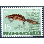 Yugoslavia 1962 Amphibians and Reptiles-Stamps-Yugoslavia-StampPhenom