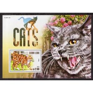 Sierra Leone 3406 Cats Souvenir Sheet MNH VF