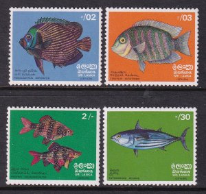 Sri Lanka 473-476 Fish MNH VF