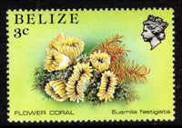 Belize 701 Fish MNH VF