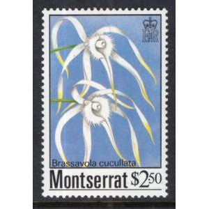 Montserrat 557 MNH VF