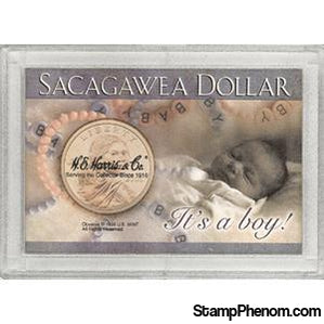 Sacagawea Frosty Case - It's a Boy!-Coin Holders & Capsules-HE Harris & Co-StampPhenom