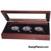 Guardhouse Glass-top Wood Display Box -GH-W1800: (3XL)-Display Boxes for Round Coin Holders-Guardhouse-StampPhenom
