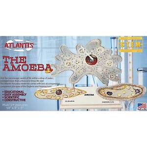 ATLANTIS TOY & HOBBY INC. The Amazing Amoeba STEM AANL3800 Plastic Models Other